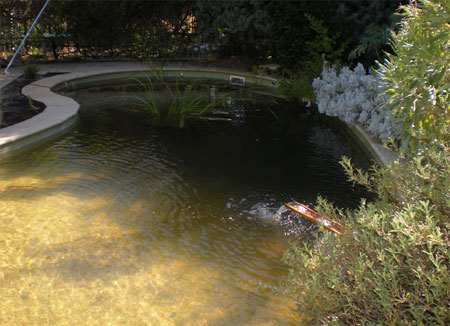 Swimming pool conversion to aquaculture