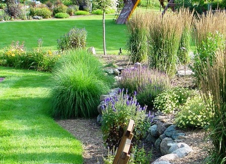 a water wise garden with drought-tolerate plants 