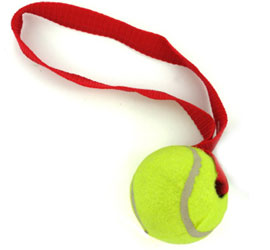 tennis ball for dogs toy
