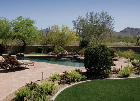 Xeriscaping for a water-wise garden design