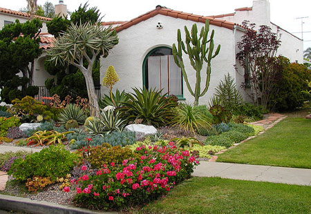 Xeriscaping for a water-wise garden design