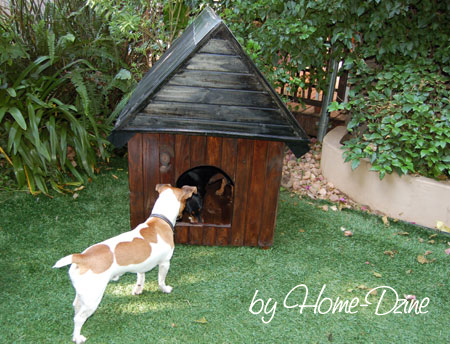 DIY dog kennel 