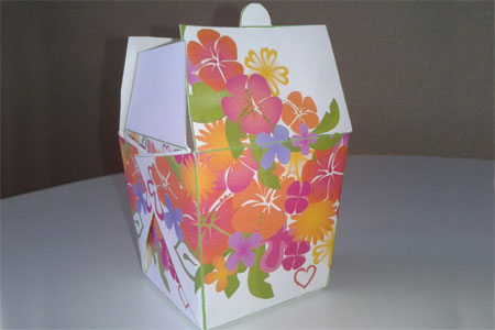 Free gift box and party favour boxes