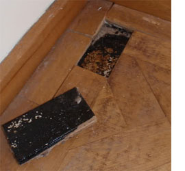 Restore parquet flooring