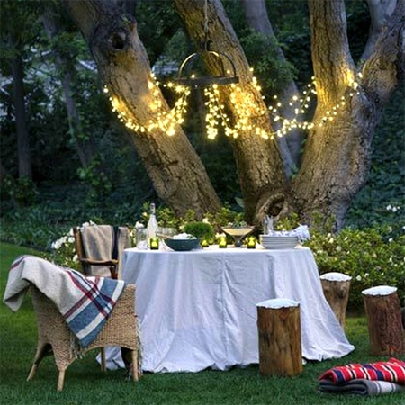 fairy string lights garden tree party