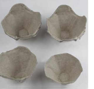 Beautiful roses using egg cartons