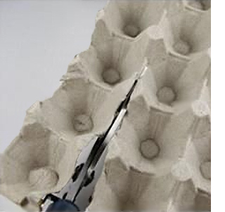 roses using egg cartons