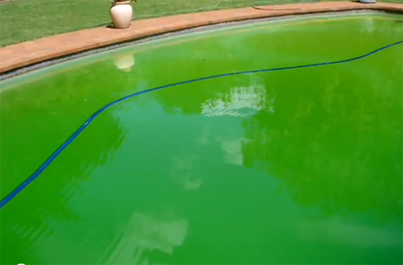 What to do when your pool goes green