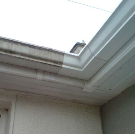 Paint gutters and downspouts