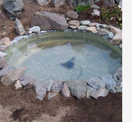Turn an old tyre into a tranquil pond 