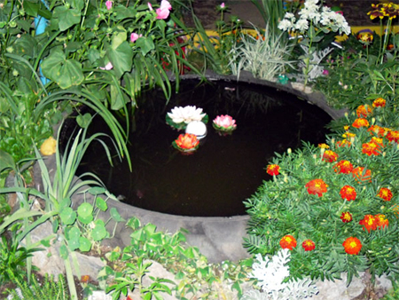 Turn an old tyre into a tranquil pond