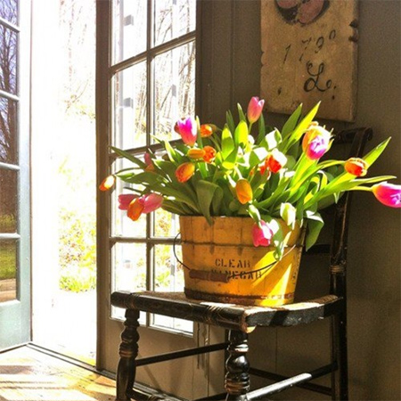 tulips fresh spring flower arrangement display