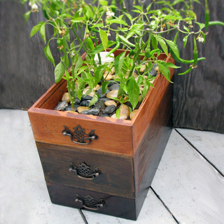 Repurpose an old drawer into plant container