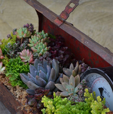 old steel toolbox as flower planter