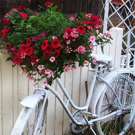 old vintage bicycle garden container plant holder