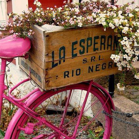 old vintage bicycle with box as flower container garden