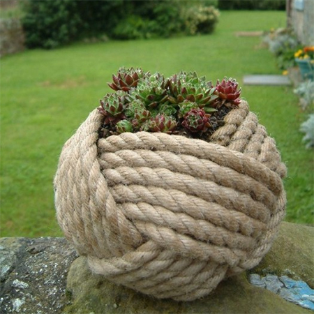 rope monkey knot planter with succulents