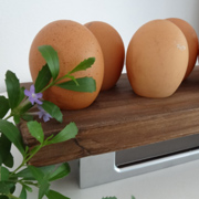 Rustic pine or reclaimed wood egg holder