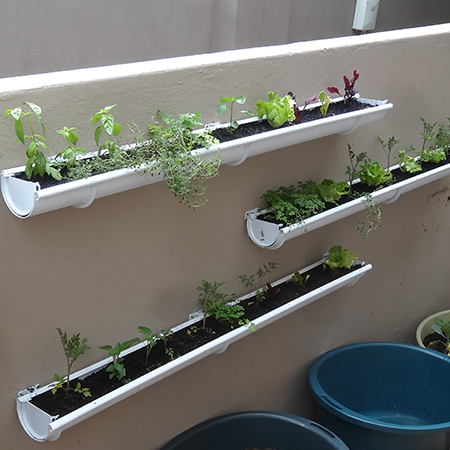 HOME DZINE Garden Ideas | Adding a herb and veggie gutter 