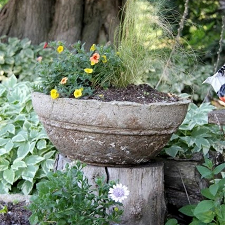 What to do with a tree stump use as a plant stand