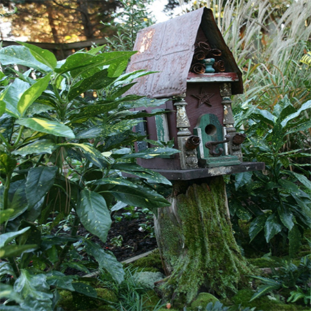 What to do with a tree stump bird house