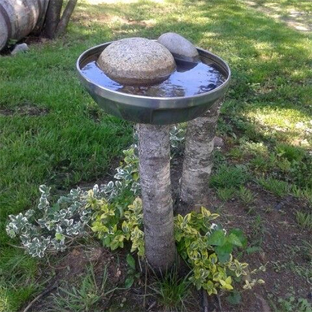 What to do with a tree stump birds waterbath