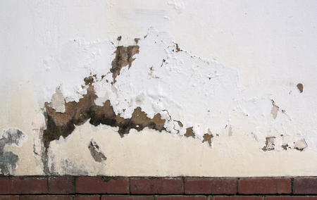treat rising damp with plascon dampseal