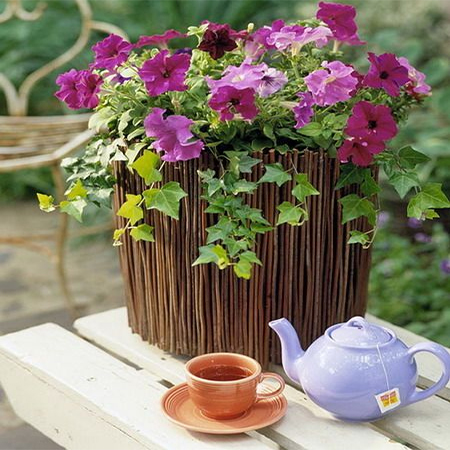 Dress up plain pots with branches or twigs