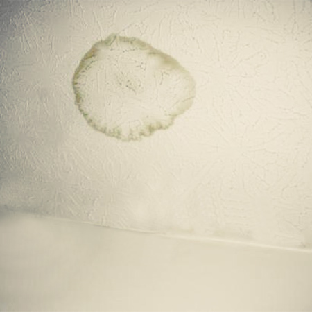 cover up paint stains with prominent paints ceiling paint