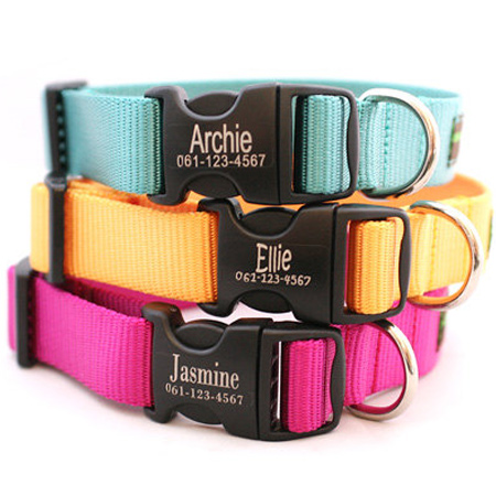 Gift idea... How to make a personalised dog collar