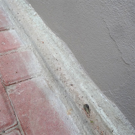 drainage gutter along edge of paving for water run off