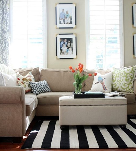 stripes with striped rug in living space