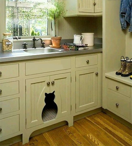 How to disguise or hide a litter box so that it is out of sight