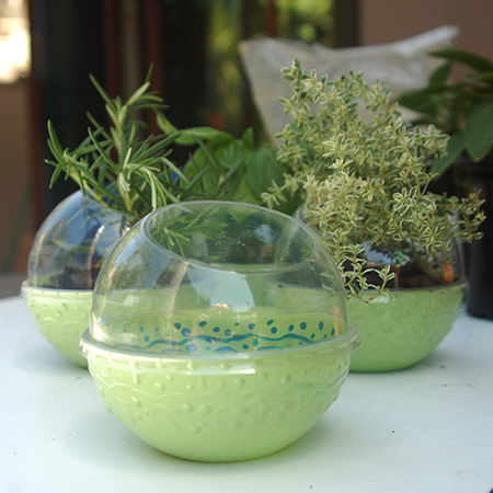 Recycled plastic herb or succulent containers