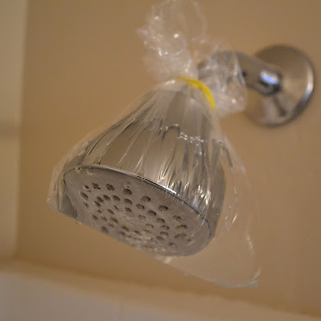 remove hard water and mineral deposits from a showerhead