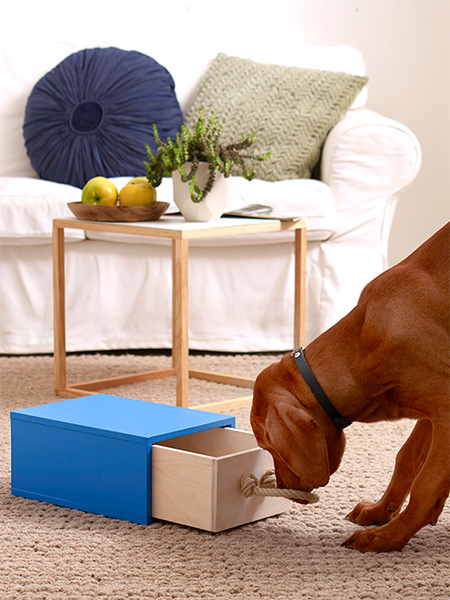 Intelligent toy for smart dogs