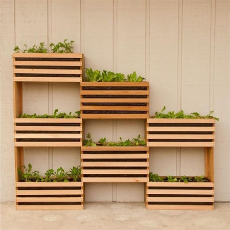 Using affordable materials found at your local Builders Warehouse you can make your own modern vertical garden for kitchen herbs and small salad veggies.