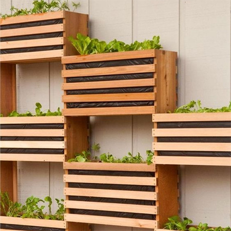 Similar in design to our wine crates used for storage and furniture, you can also use them to make your own stacked vertical garden and make full use of valuable wall space to grow your own kitchen herbs or salad veggies. 