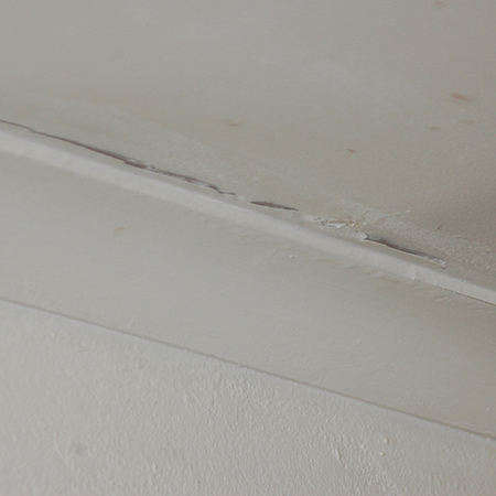 Replace sagging or damaged ceilings
