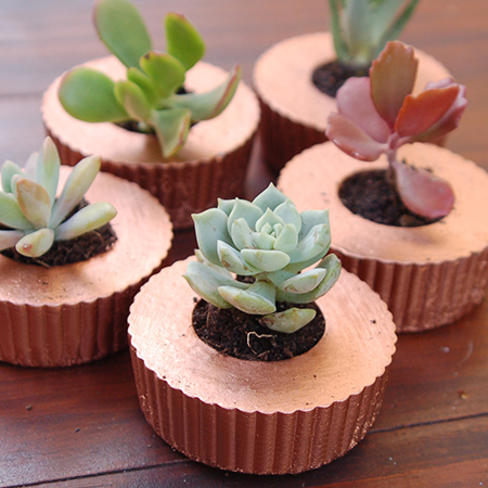Concrete cupcake planters for succulents
