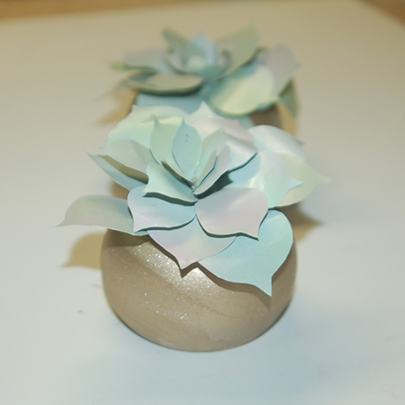 Recycled can succulents