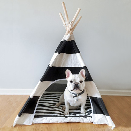 Teepees are a wonderful idea for pet beds