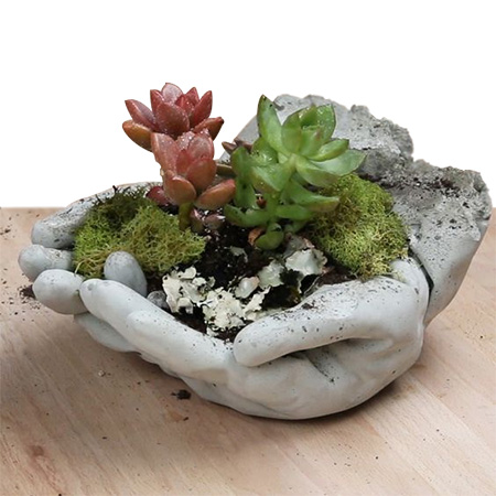 HOME-DZINE | Garden Projects - Use bagged cement to make your very own concrete 'hands' planter for the garden, or for the home.