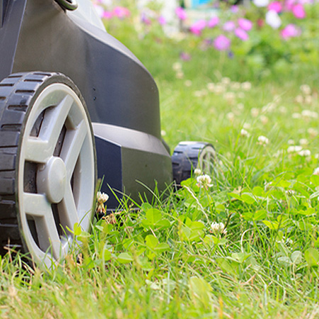 HOME-DZINE | If you want a lawn in tip-top condition for summer, now is the time to get going with Spring lawn care and treatment.