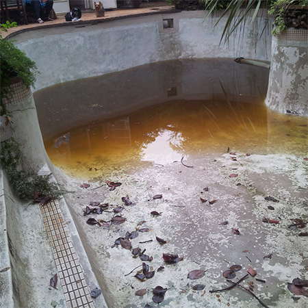 HOME-DZINE | Pool Repair - remedy damage to a swimming pool
