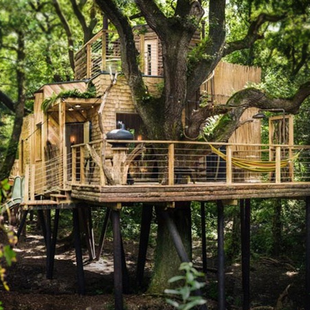 Luxury treehouse home