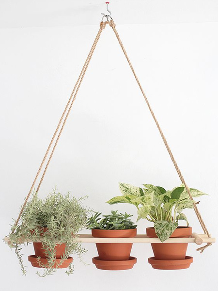 Some sisal rope and a scrap piece of timber and you can make an attractive plant hanger for very little cost. This is a great idea for using reclaimed wood pallets as well. 