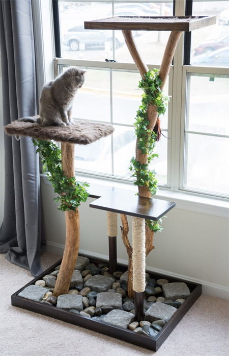 HOME-DZINE | If you're trimming trees and shrubs this winter, keep a few branches on hand to make this DIY cat play stand.