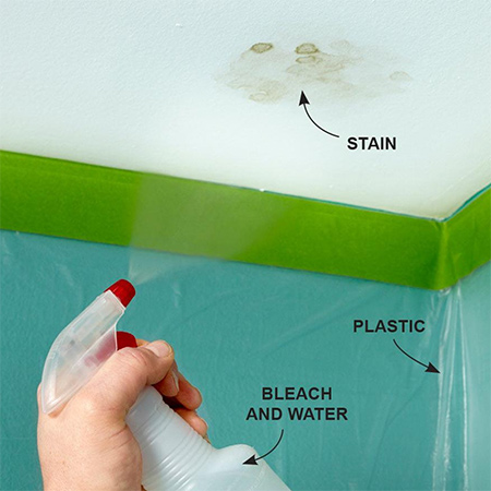  Quick Tip: Get rid of ceiling mould