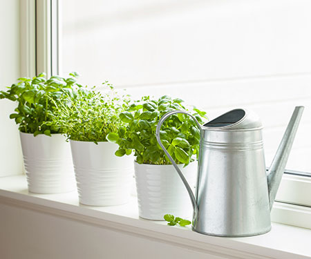 HOME-DZINE | Gardening Tips - Creating your very own herb garden really is that simple not to mention incredibly rewarding. The benefits are innumerable, from enjoying more flavourful food, to lower grocery costs as well as it being a wonderful way to teach your children about nature and caring for a garden. 